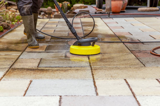Best Animal Enclosure Cleaning  in Kenai, AK